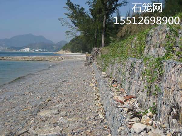 timg8545645_副本.jpg timg8545645_副本.jpg