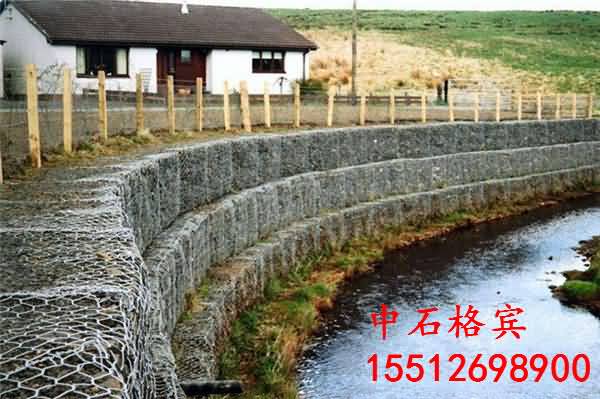 復件 復件 復件 timg (3).jpg